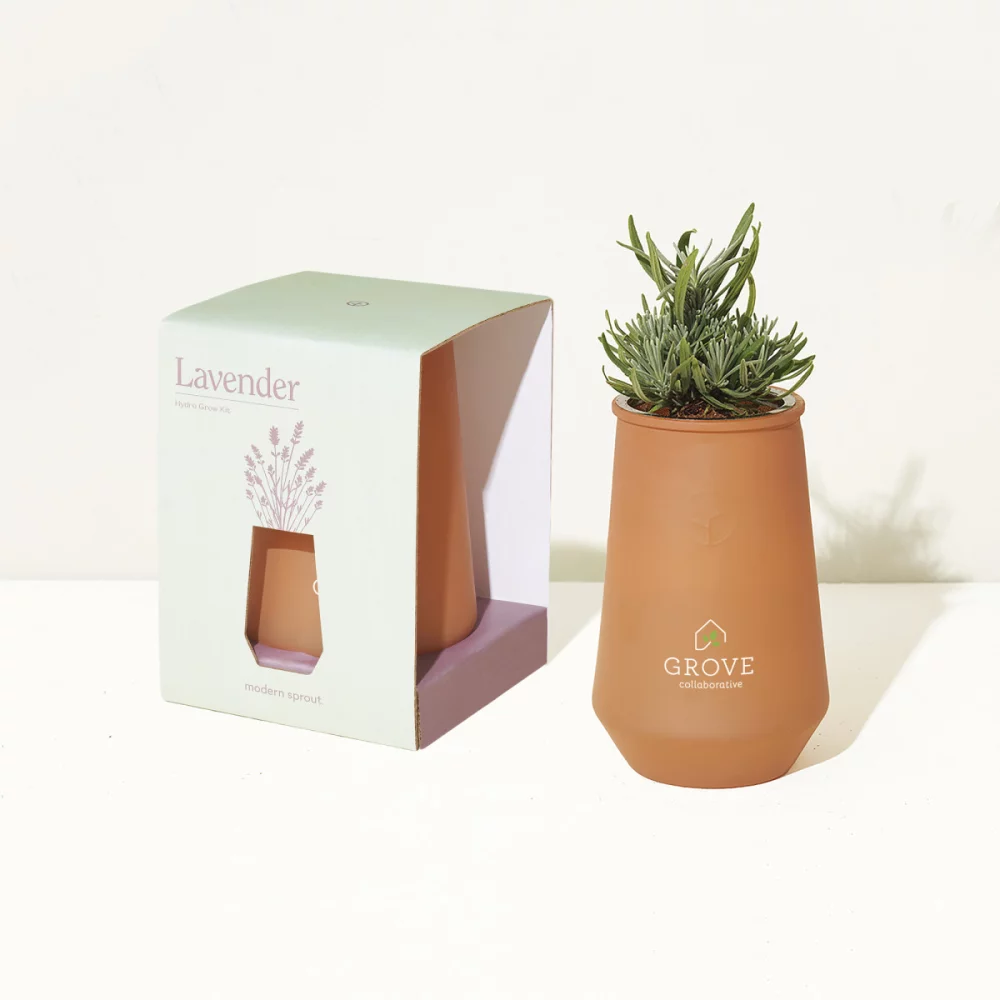 Modern Sprout Tapered Tumbler Grow Kit - Sahara-Lavender
