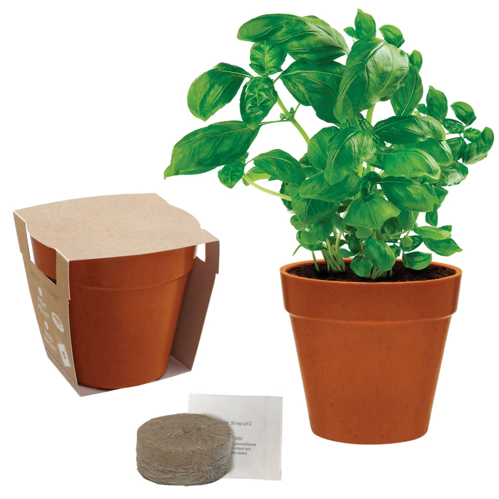 Mini Bamboo Blossom Kit