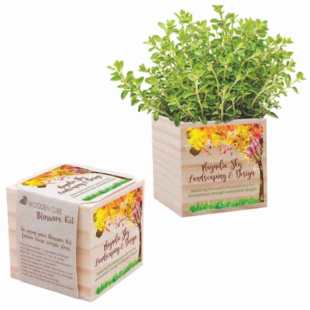 Kit de cube en bois pour faire pousser des fleurs