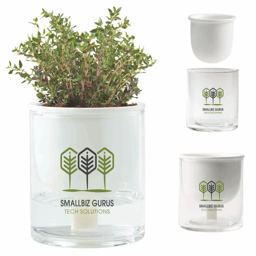 Jardinière autonome en eau