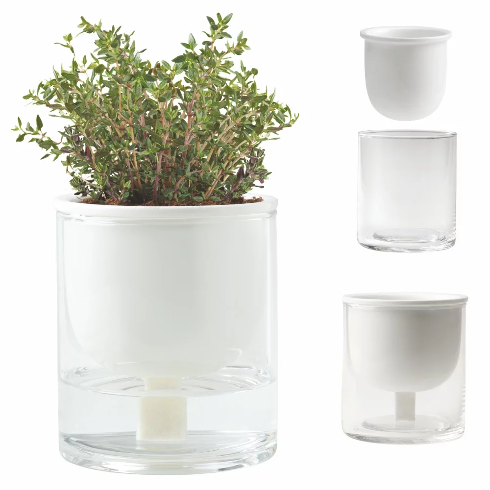 Self Watering Planter