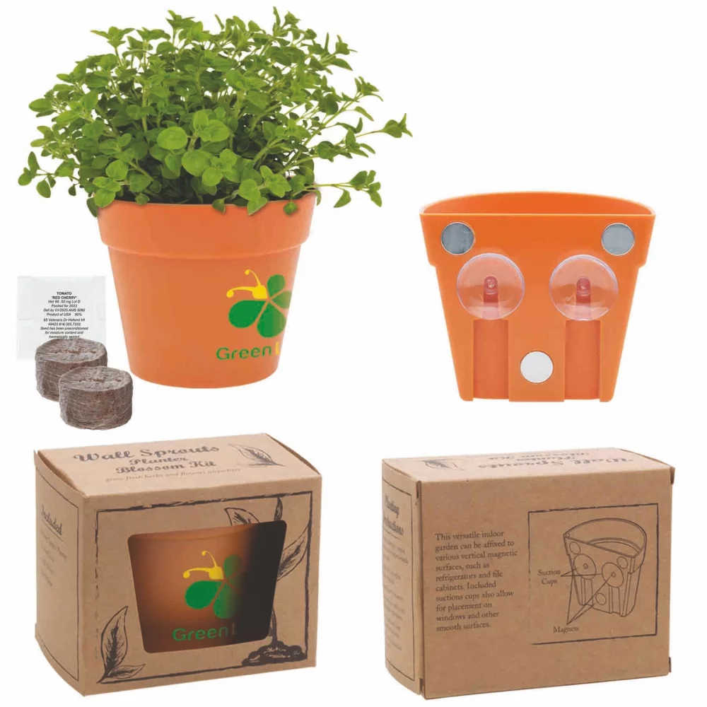 Kit de plantation de pousses murales Blossom