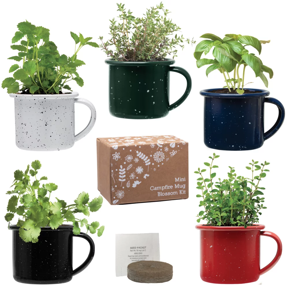 Kit de tasse de camping miniature Blossom