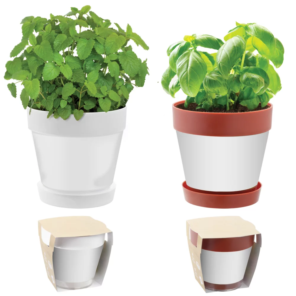 Kit de fleurs à encliqueter