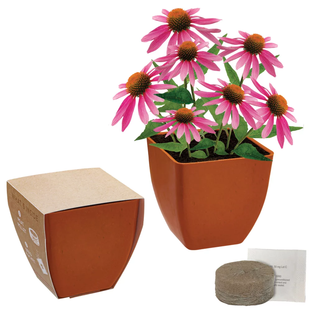 Kit de fleurs de bambou