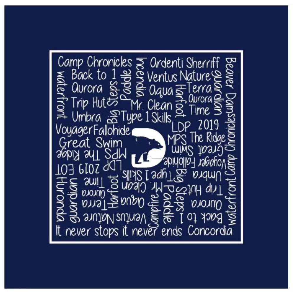 100% Cotton Bandanna 22x22