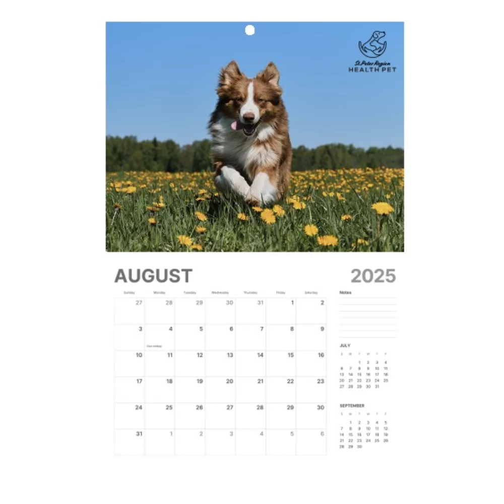 Calendrier mural à rendez-vous agrafés