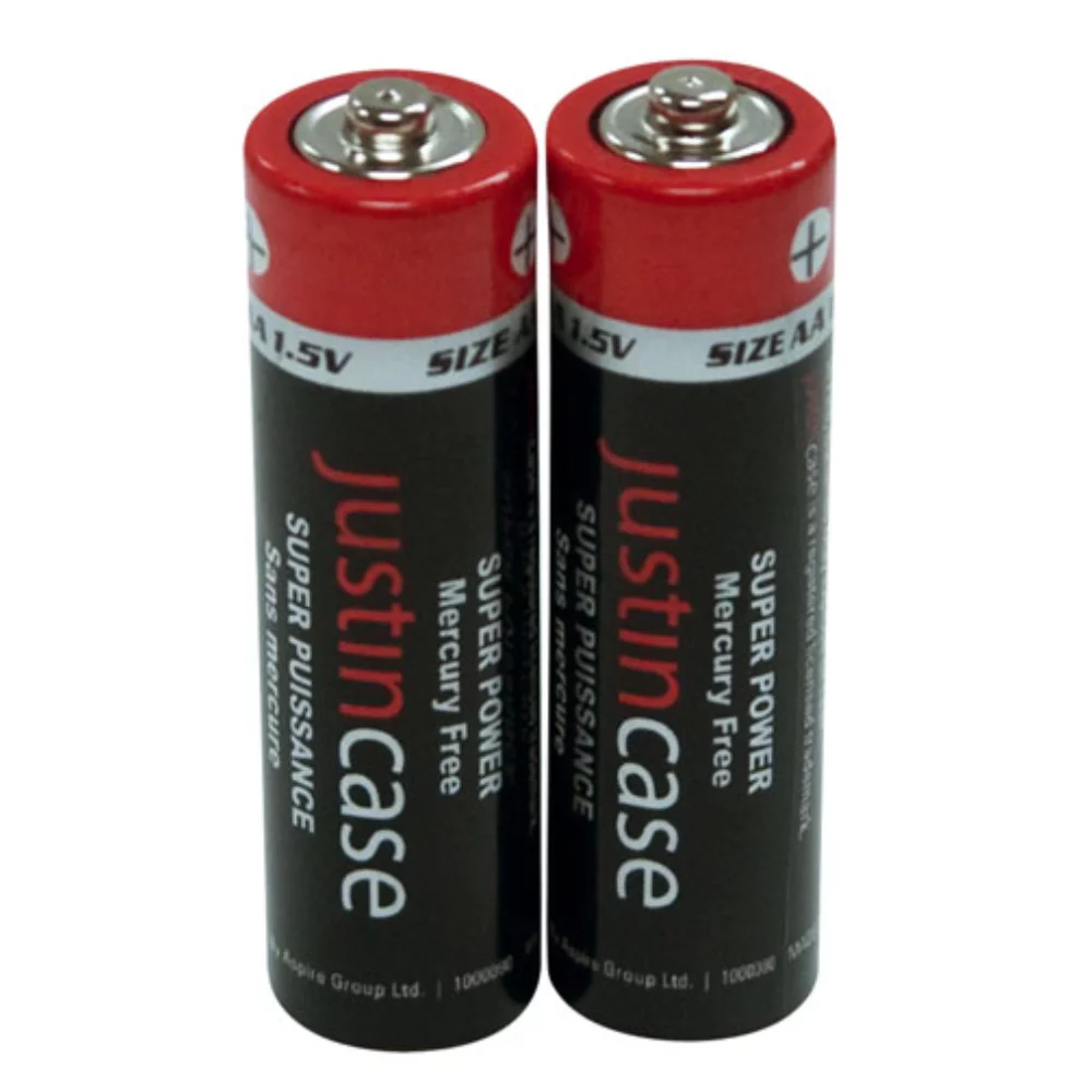 Piles AA à usage intensif (par paire)