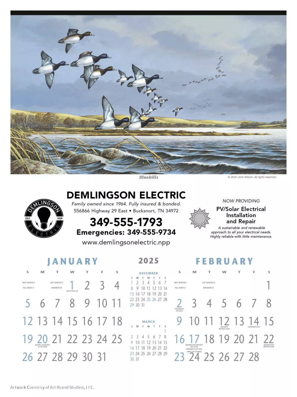 Oiseaux aquatiques nord-américains