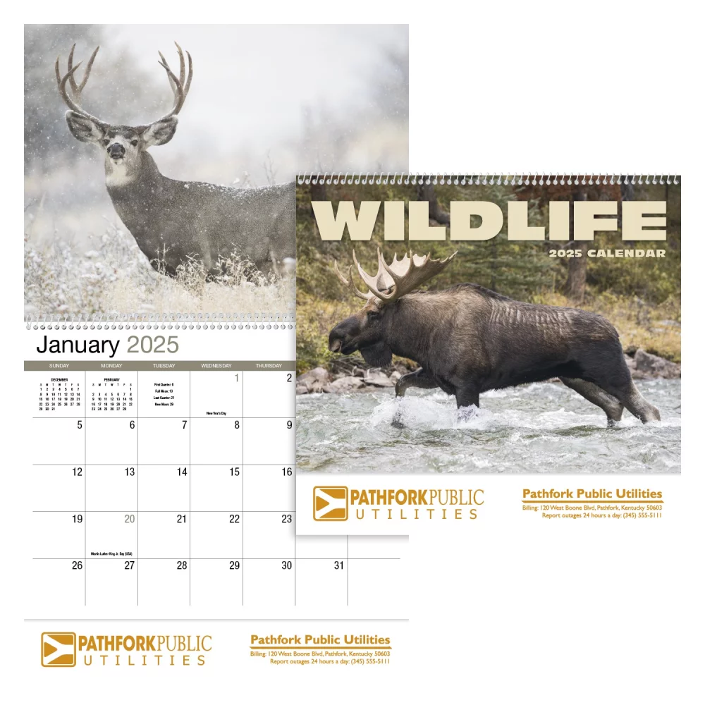 Calendrier de rendez-vous de la faune - Spirale