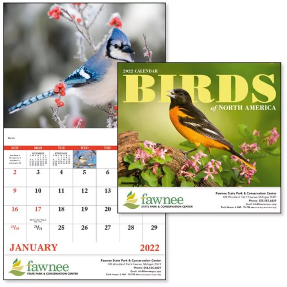 Calendrier agrafé Good Value® Oiseaux d'Amérique du Nord