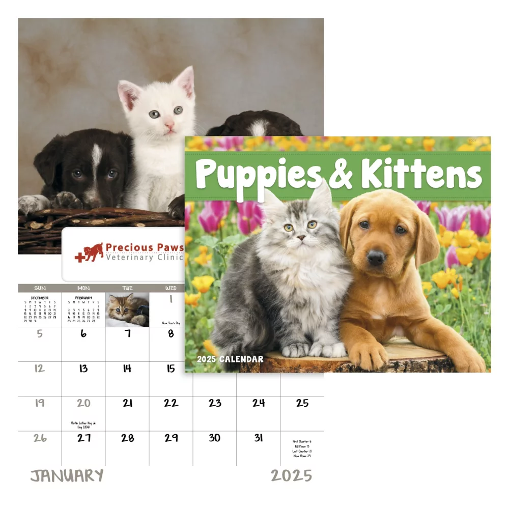 Chiots & Chatons - Fenêtre