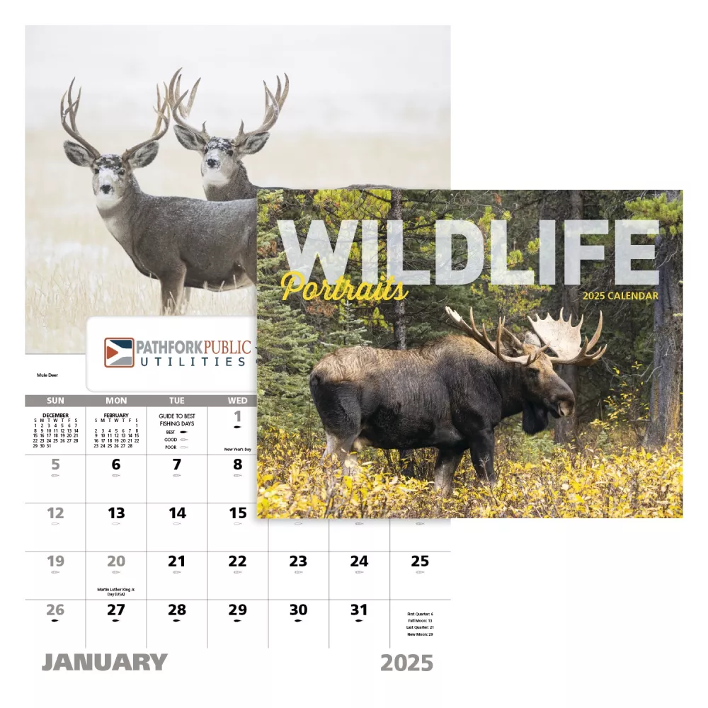 Portraits de la faune - Fenêtre