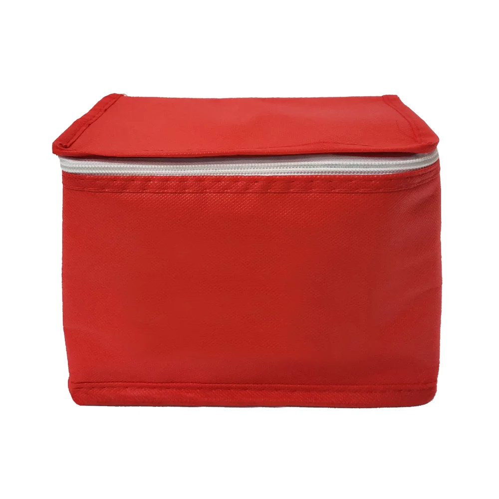 BG-021 MINI NON WOVEN COOLER/LUNCH BAG (10-15 days)