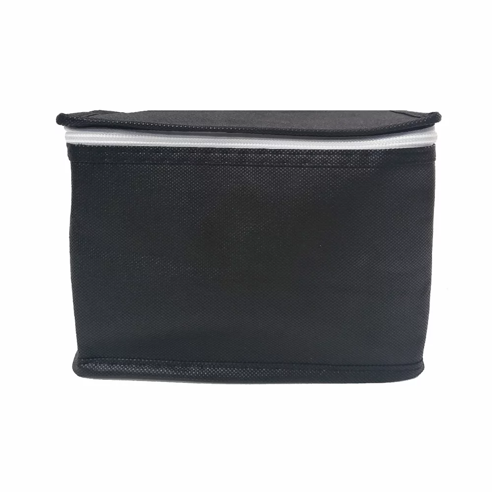 BG-021 MINI NON WOVEN COOLER/LUNCH BAG (10-15 days)