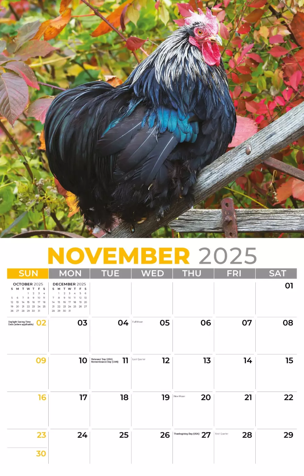 Calendrier mural Galleria 2025 Esprit campagnard