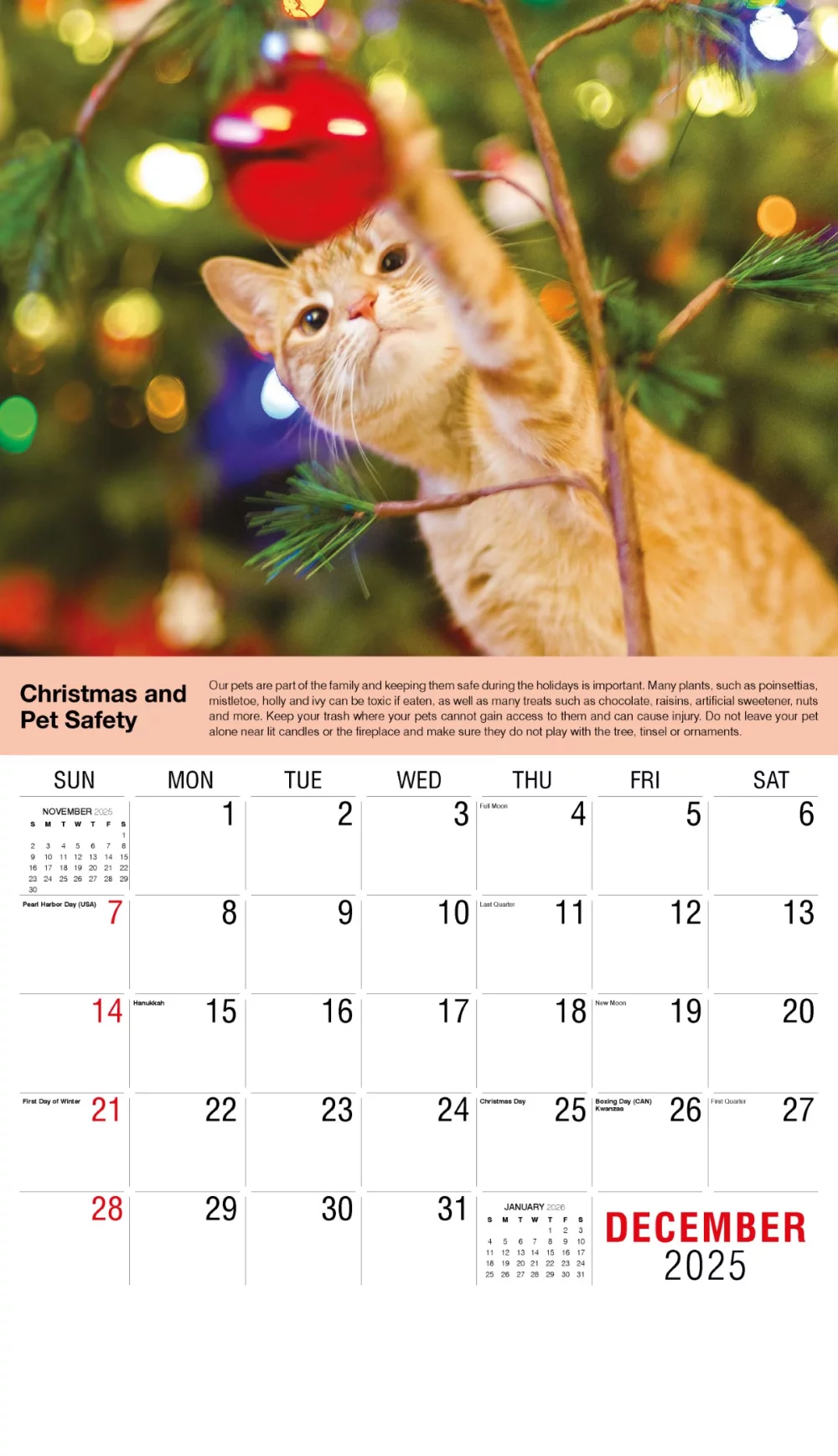 Calendrier mural Galleria 2025 Conseils de santé