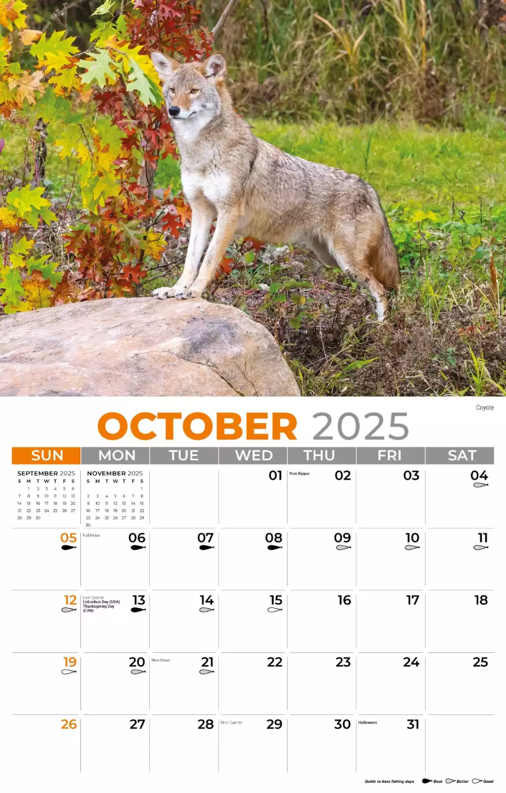 Calendrier mural Galleria 2025 Faune nord-américaine