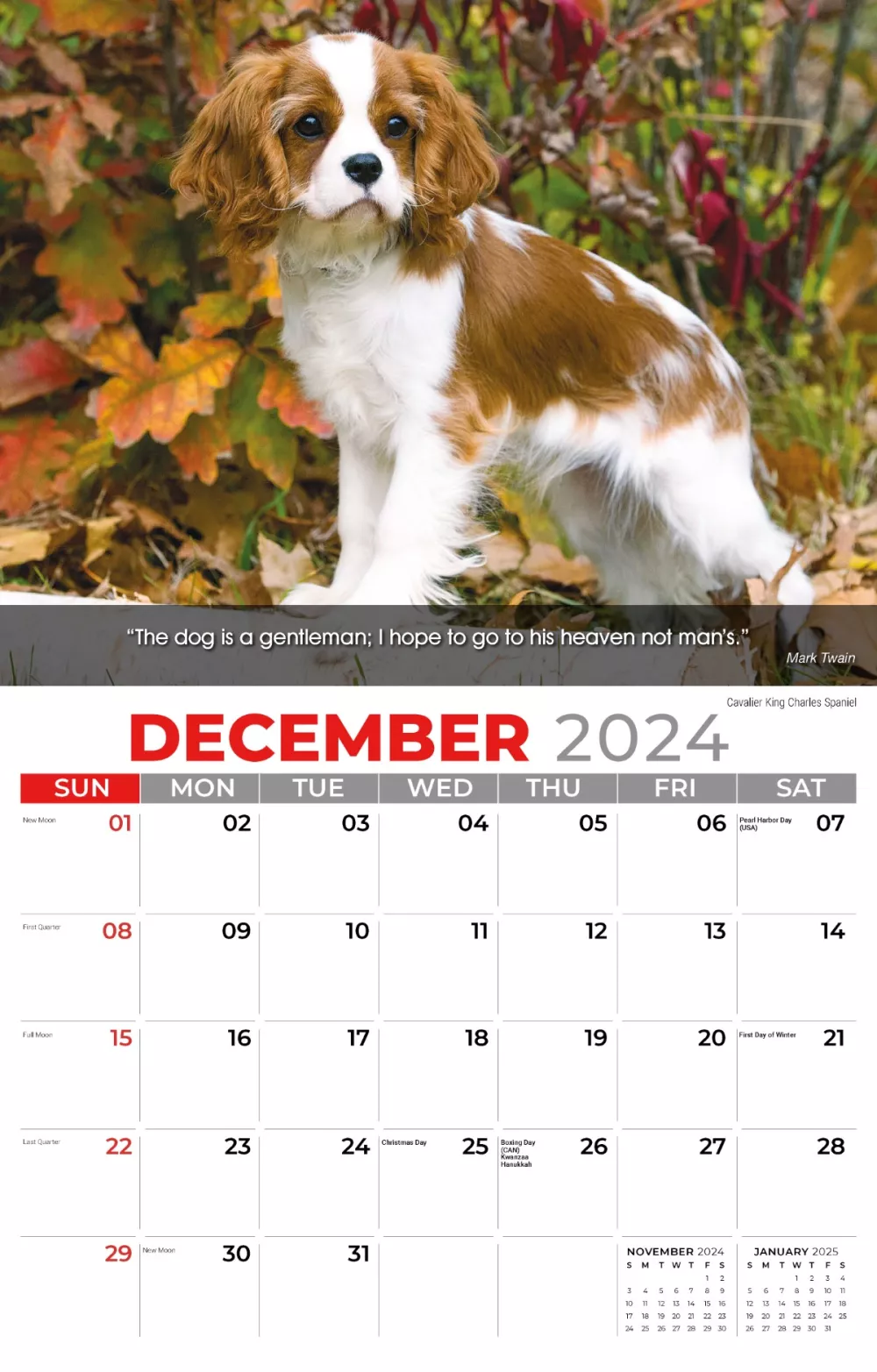 Calendrier mural Galleria 2025 Calendrier des chiens