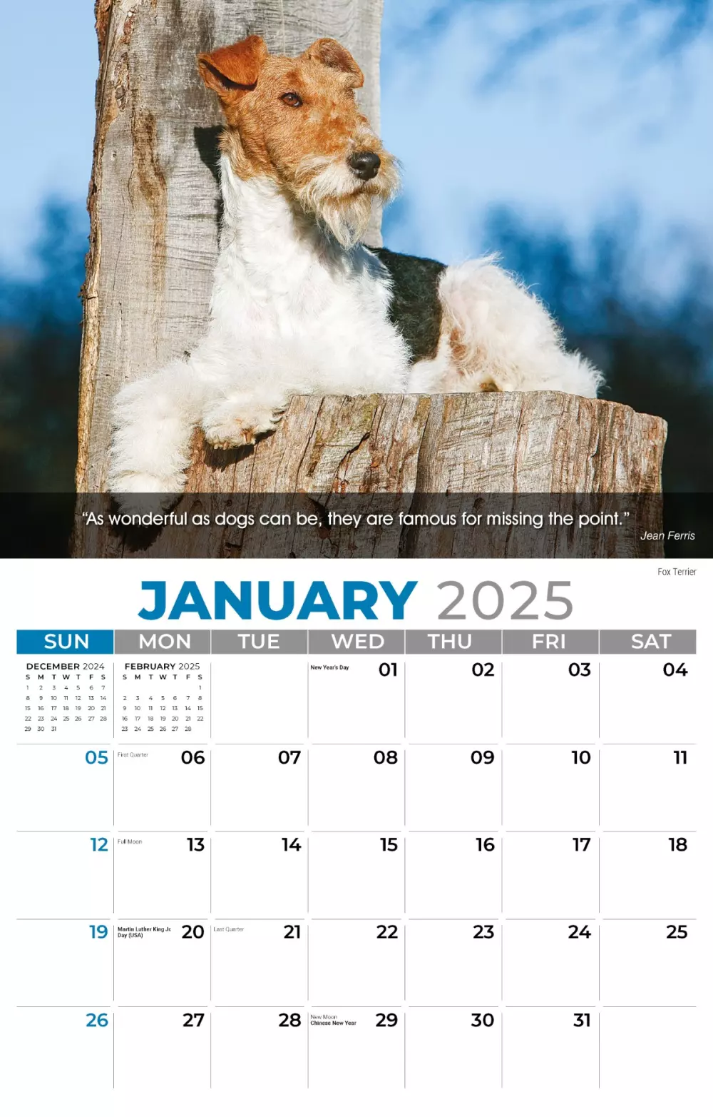 Calendrier mural Galleria 2025 Calendrier des chiens