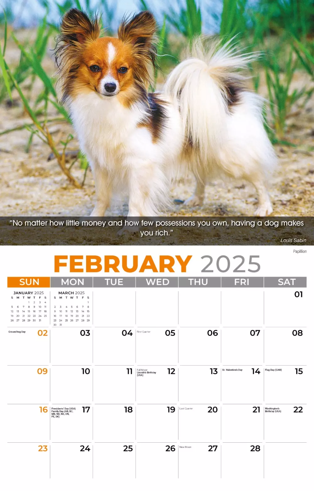 Calendrier mural Galleria 2025 Calendrier des chiens