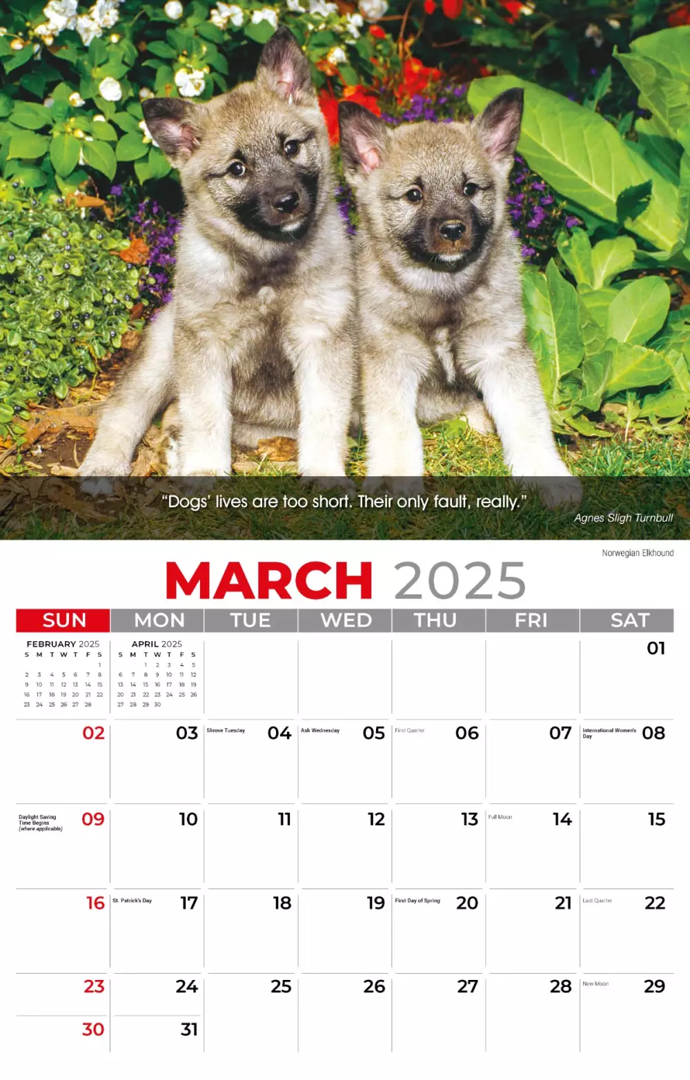Calendrier mural Galleria 2025 Calendrier des chiens
