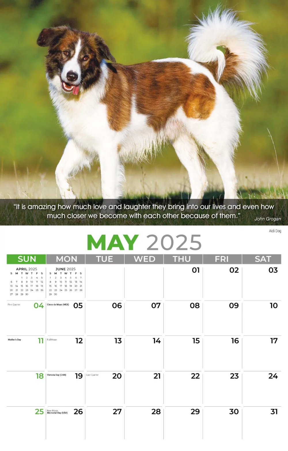 Calendrier mural Galleria 2025 Calendrier des chiens