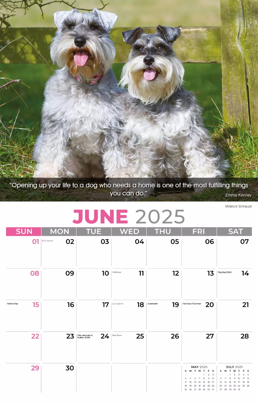 Calendrier mural Galleria 2025 Calendrier des chiens