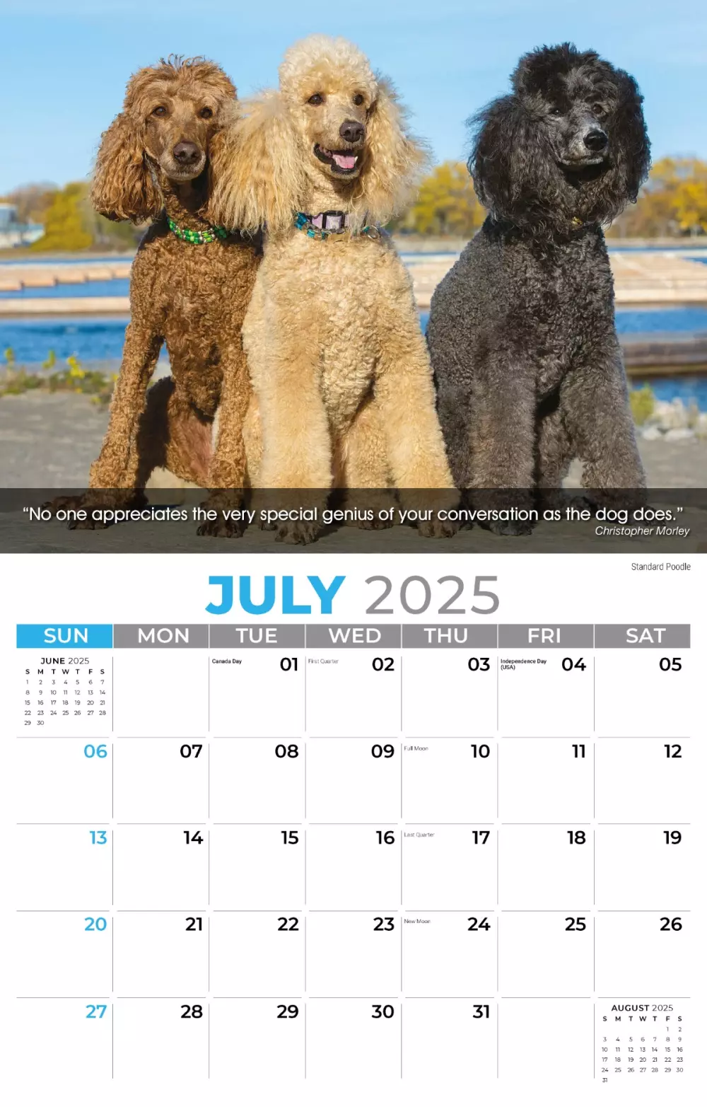 Calendrier mural Galleria 2025 Calendrier des chiens
