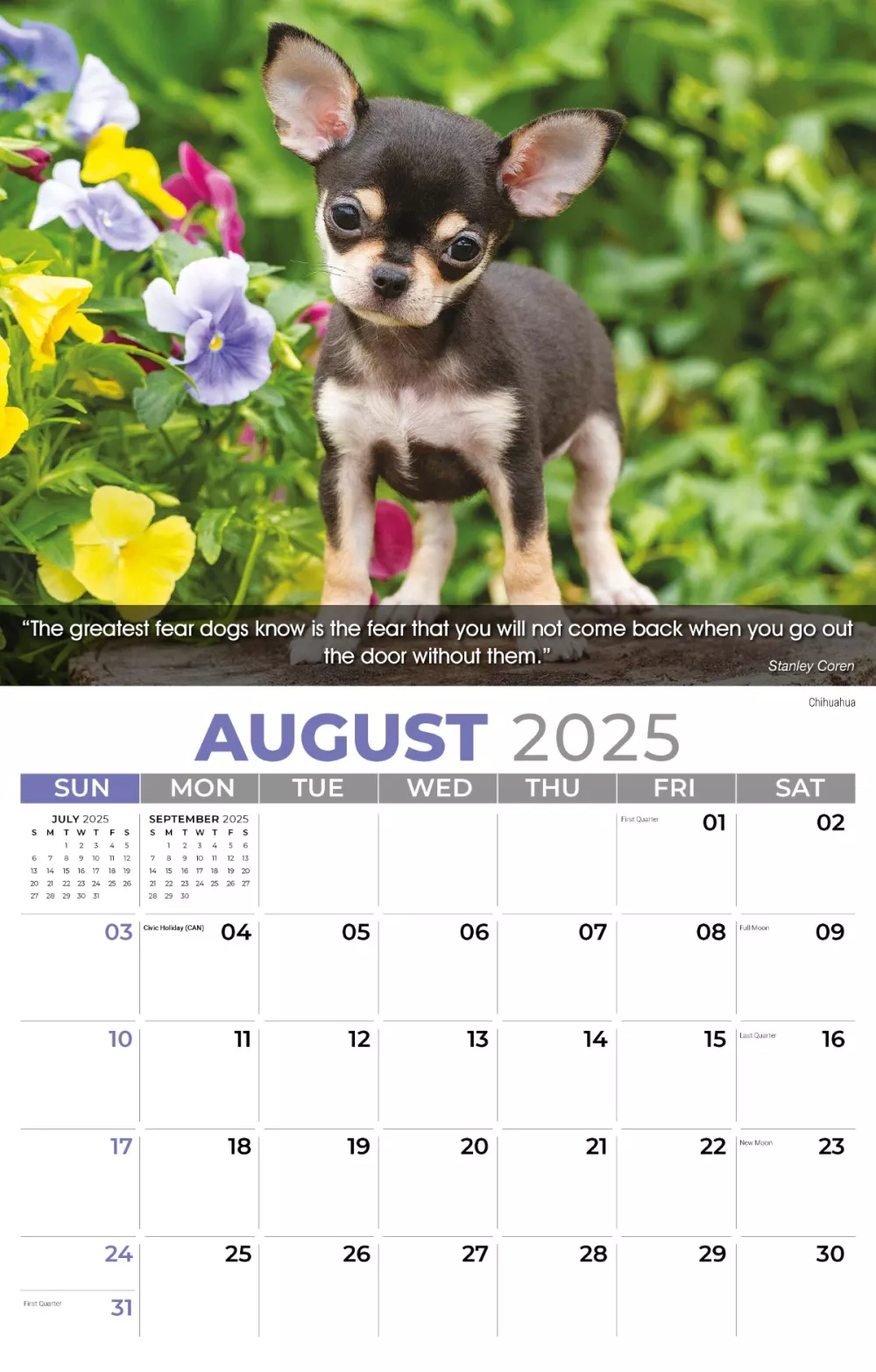 Calendrier mural Galleria 2025 Calendrier des chiens