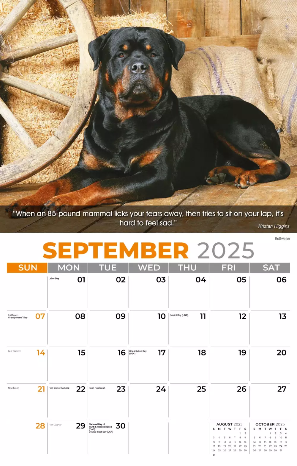 Calendrier mural Galleria 2025 Calendrier des chiens