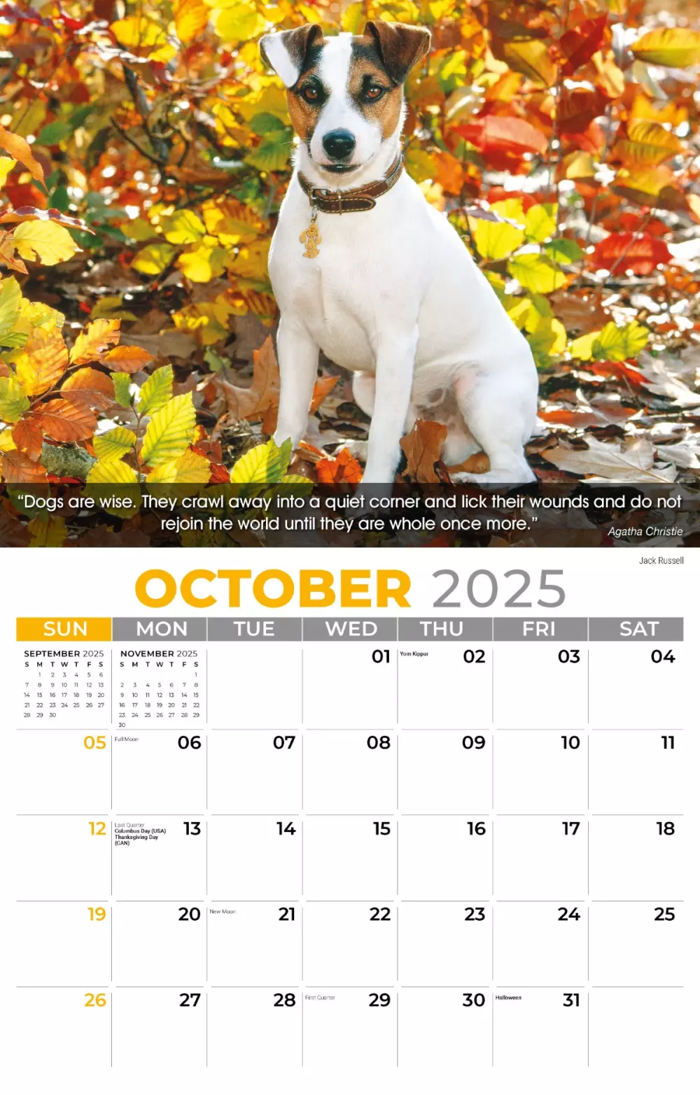 Calendrier mural Galleria 2025 Calendrier des chiens