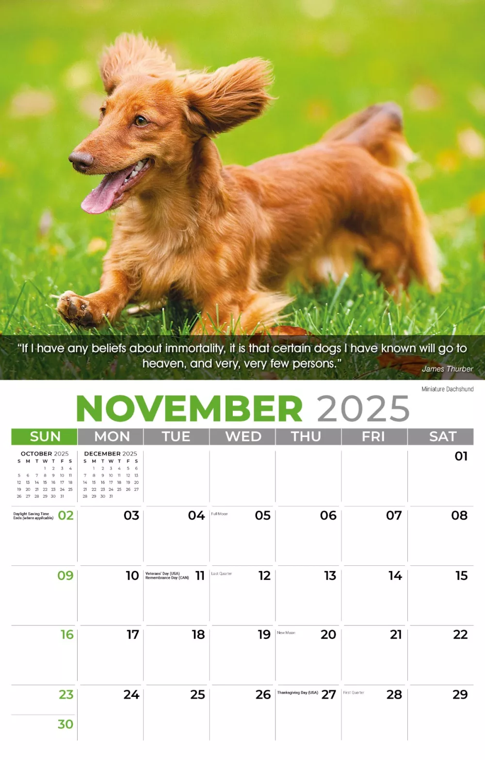 Calendrier mural Galleria 2025 Calendrier des chiens