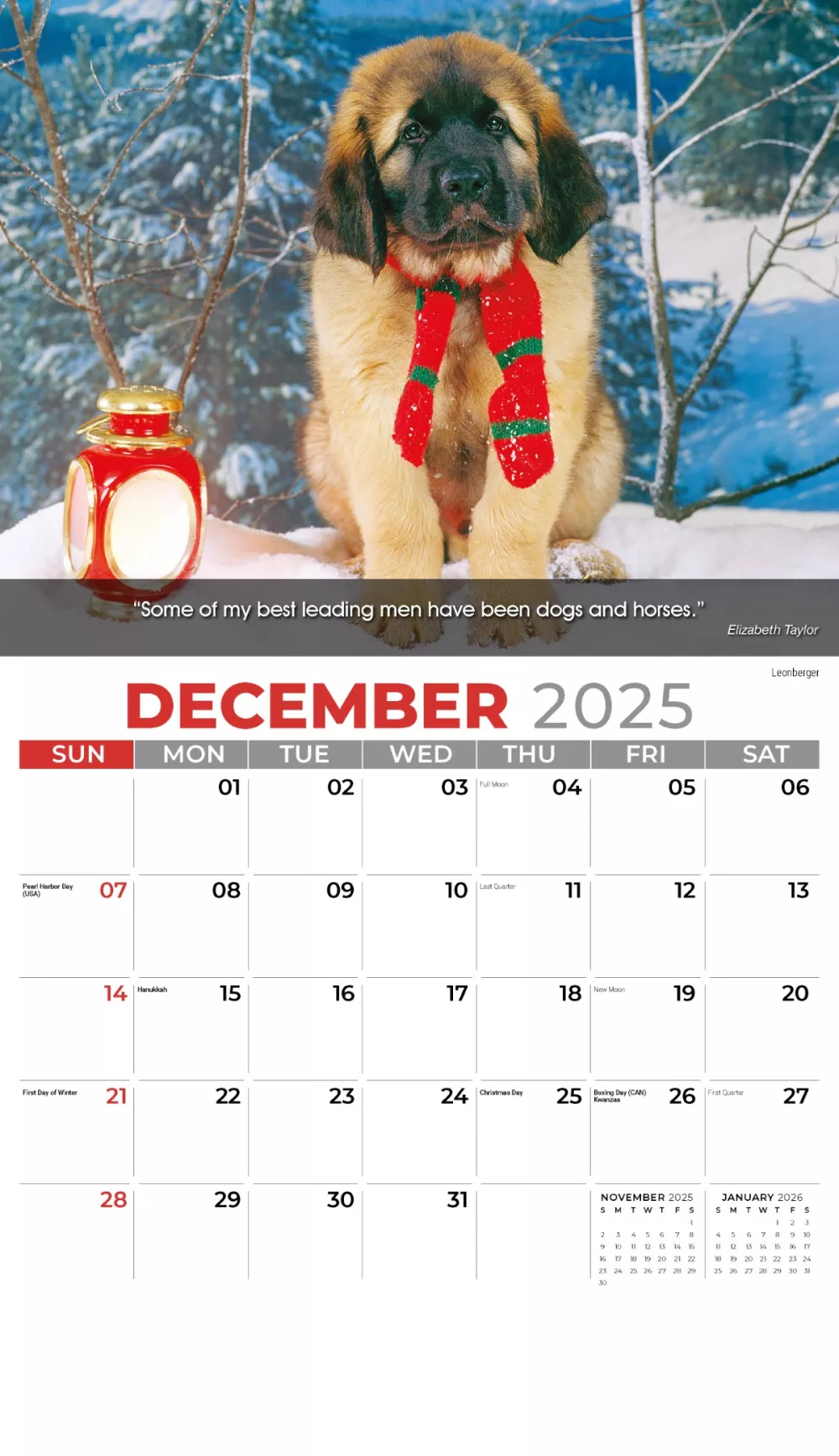 Calendrier mural Galleria 2025 Calendrier des chiens