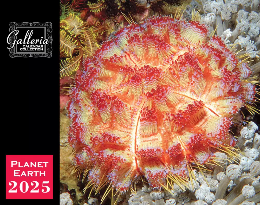 Calendrier mural Galleria 2025 Calendrier de la Terre.