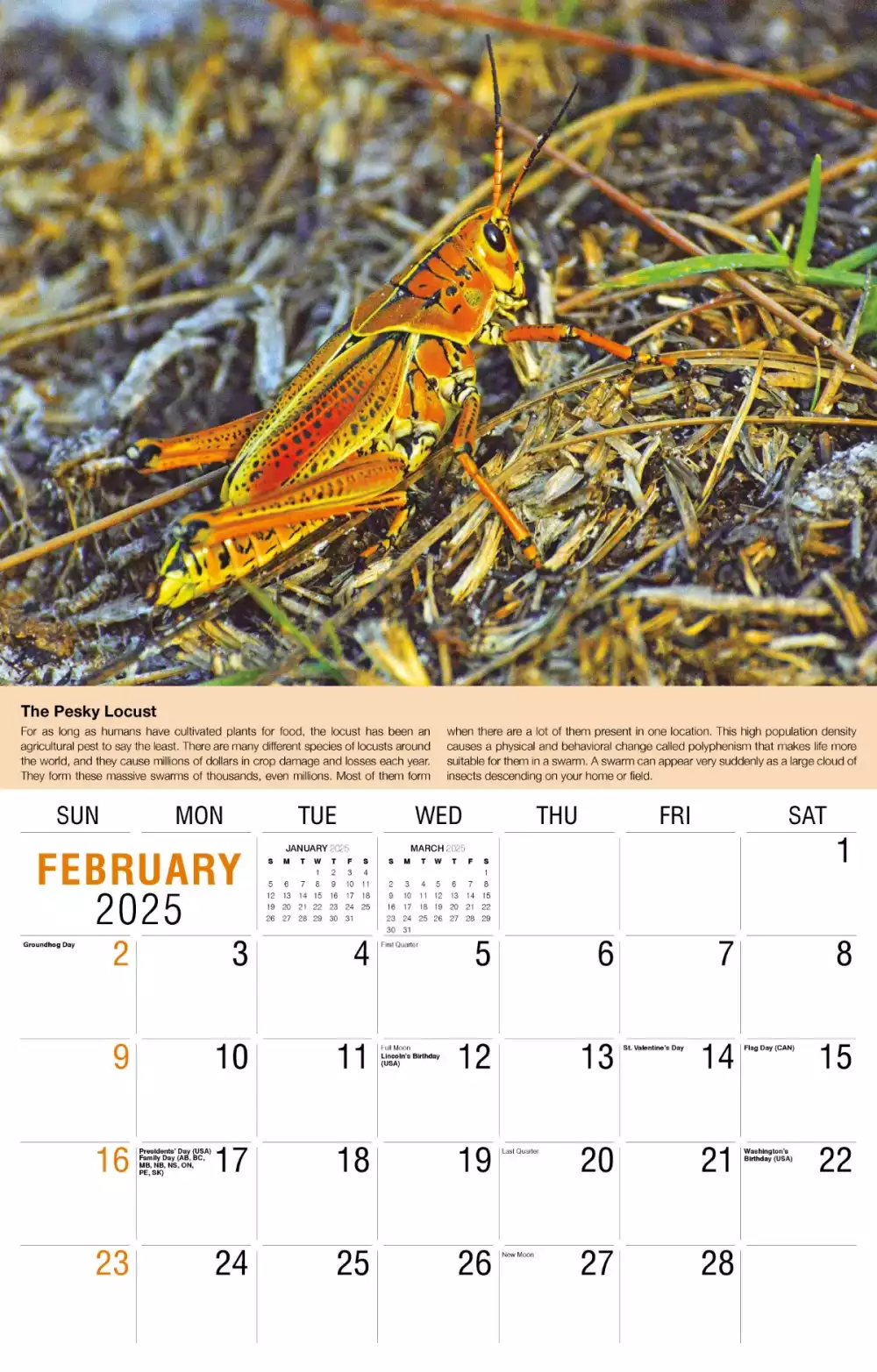 Calendrier mural Galleria 2025 Calendrier de la Terre.