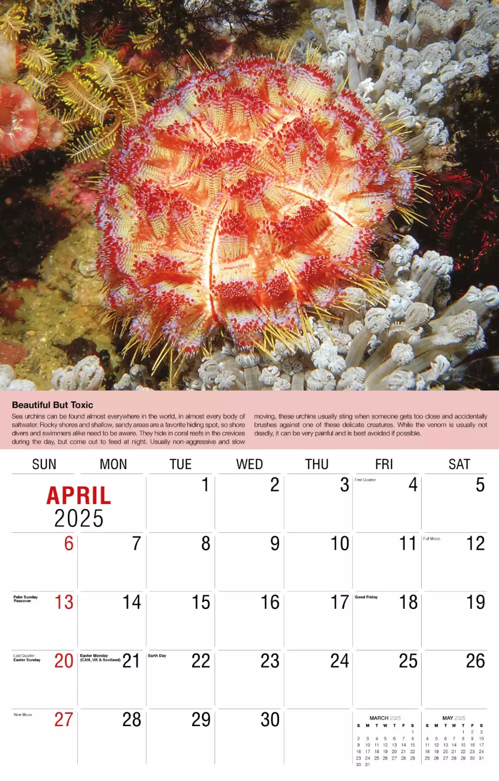 Calendrier mural Galleria 2025 Calendrier de la Terre.