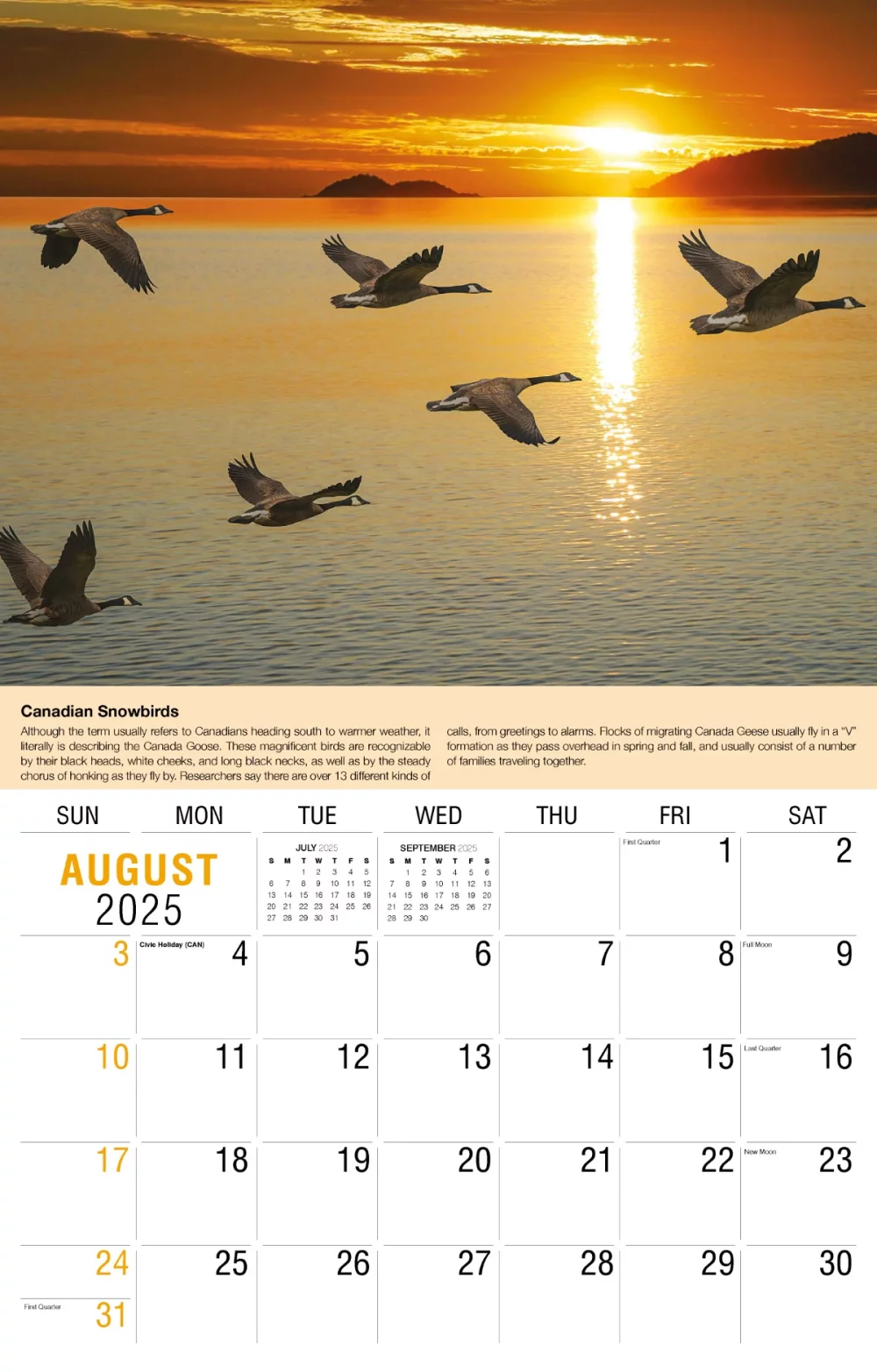 Calendrier mural Galleria 2025 Calendrier de la Terre.