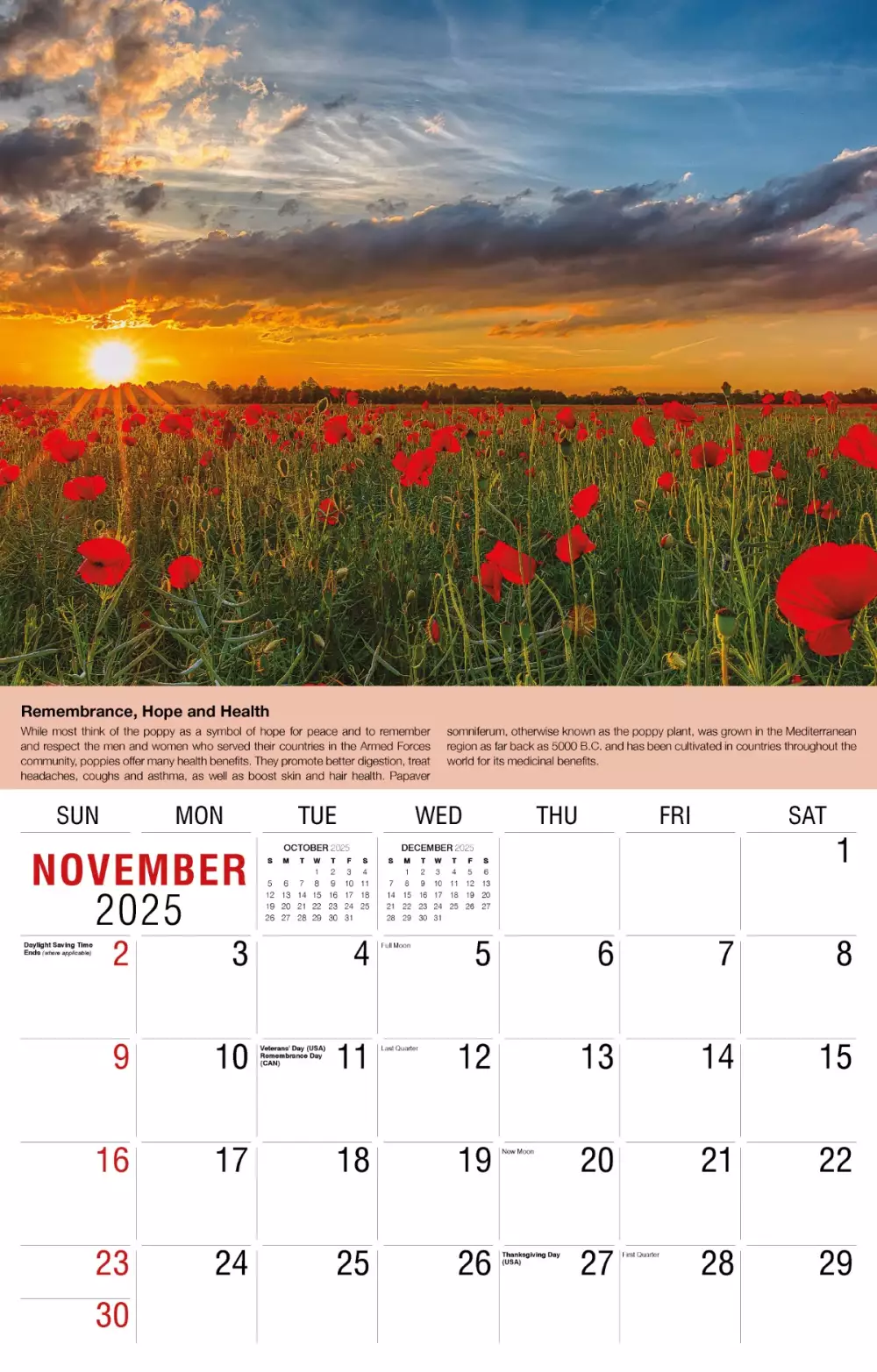 Calendrier mural Galleria 2025 Calendrier de la Terre.