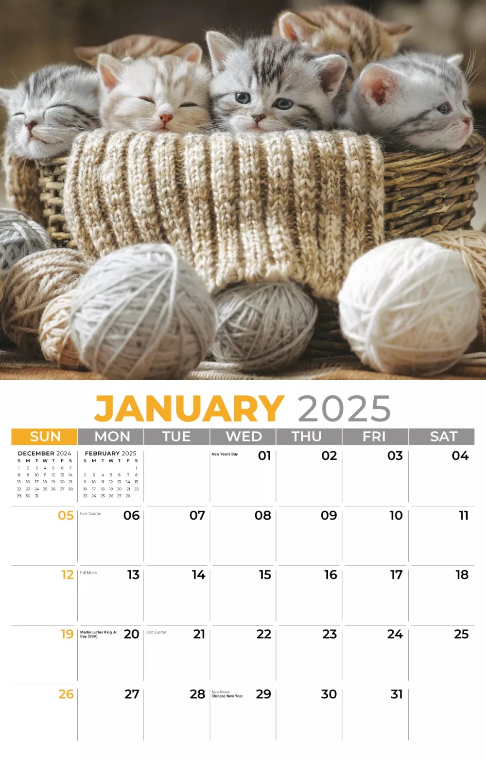 Calendrier mural Galleria 2025 Calendrier Chatons