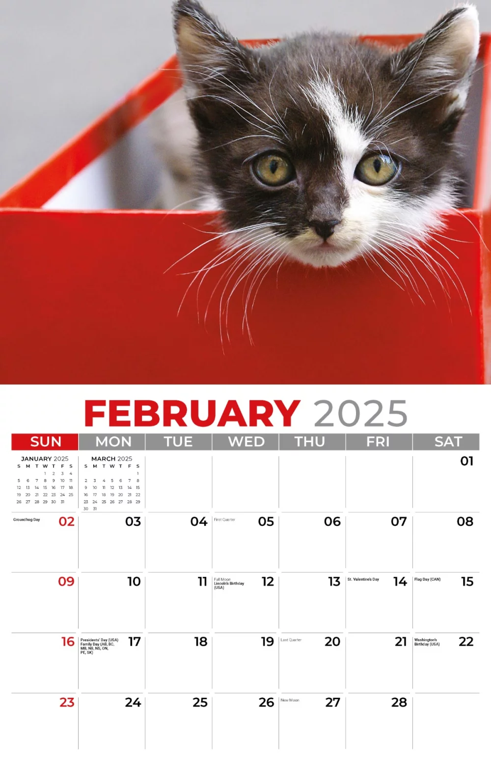 Calendrier mural Galleria 2025 Calendrier Chatons