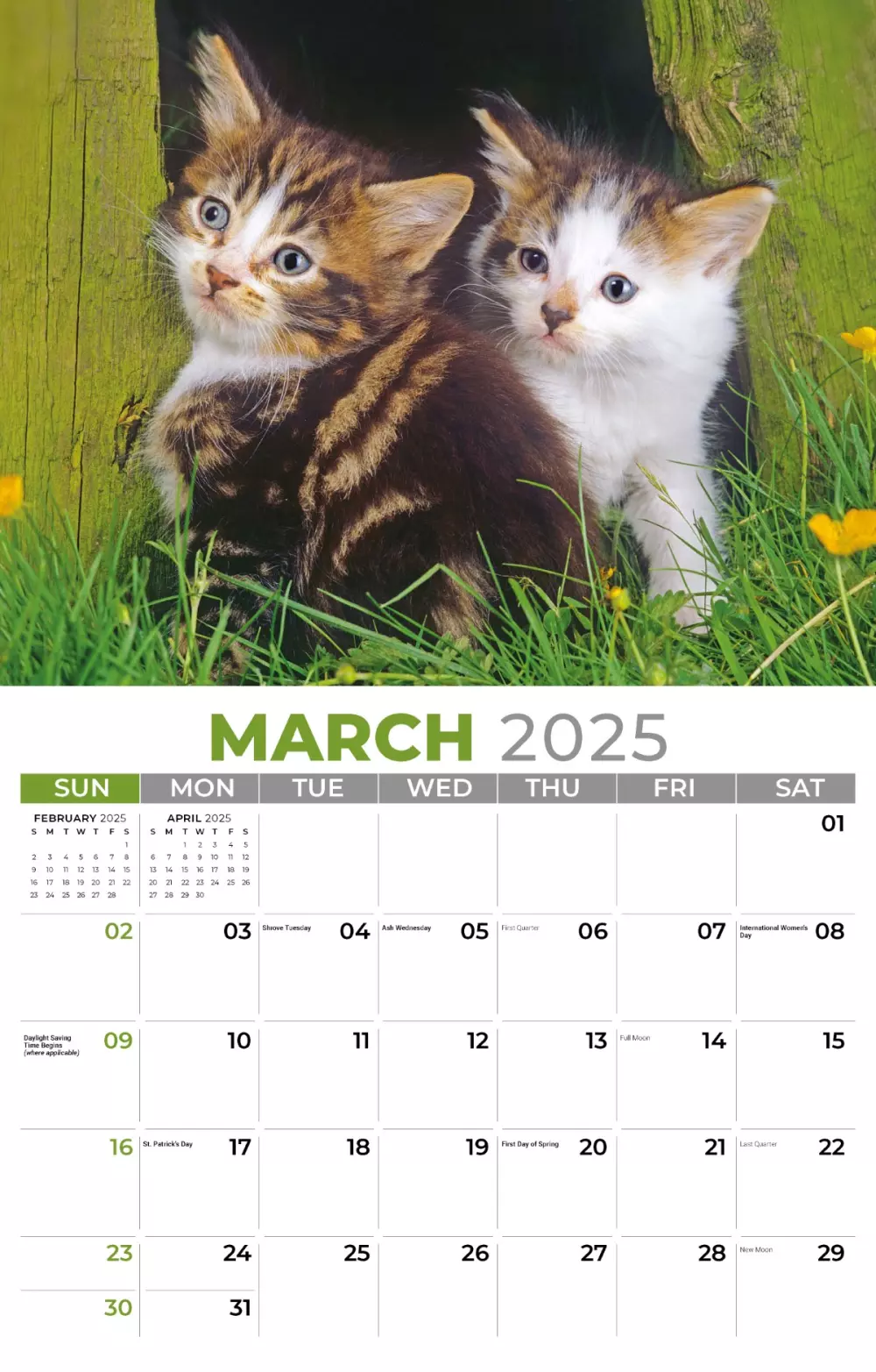 Calendrier mural Galleria 2025 Calendrier Chatons