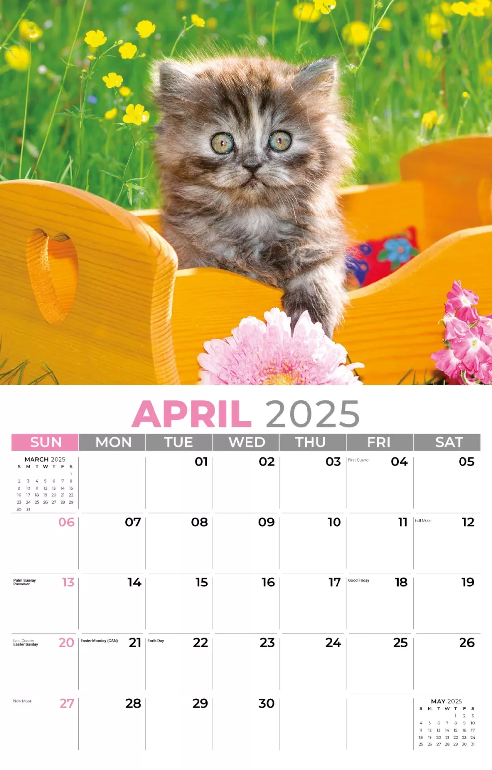 Calendrier mural Galleria 2025 Calendrier Chatons