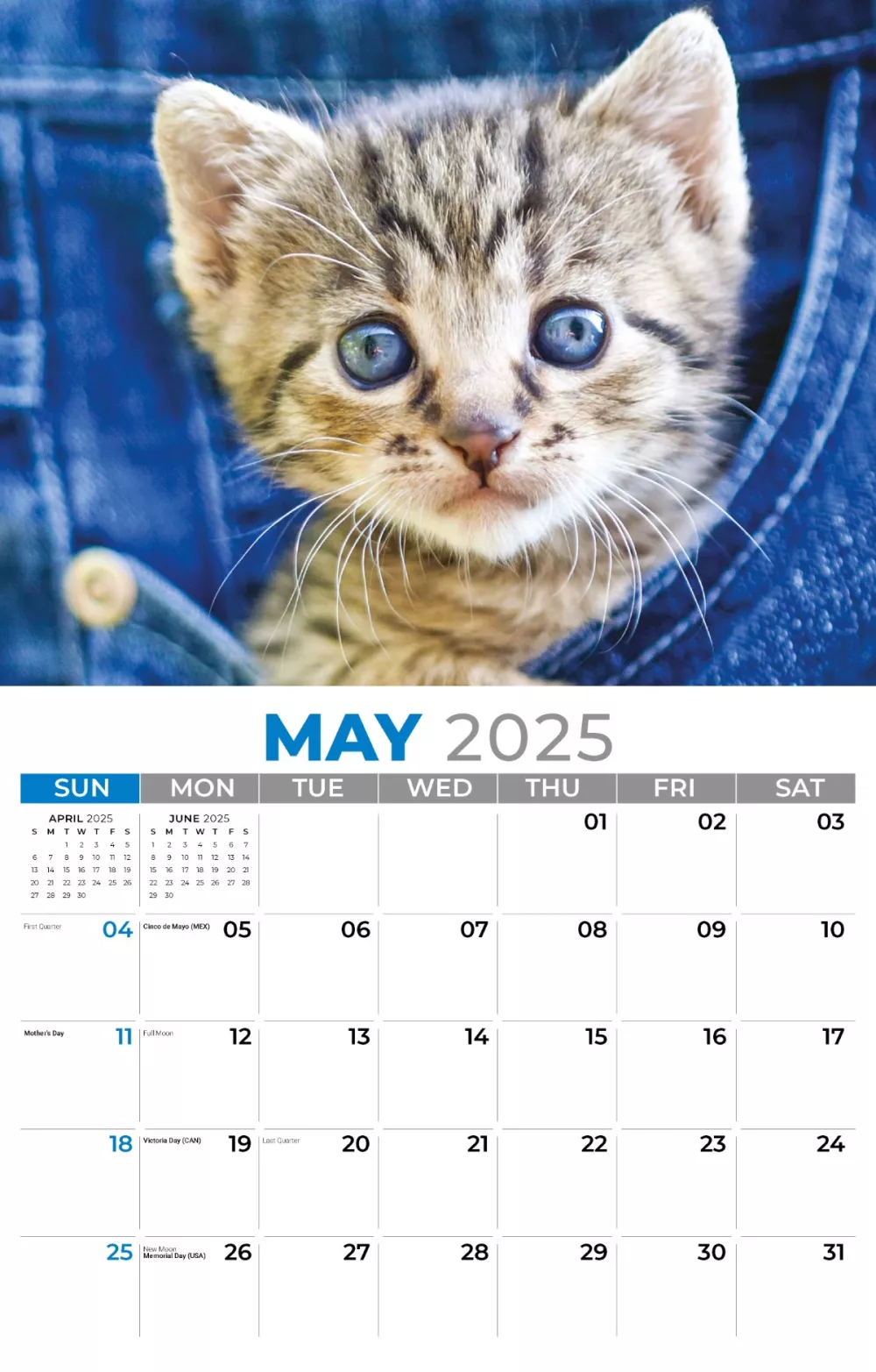 Calendrier mural Galleria 2025 Calendrier Chatons