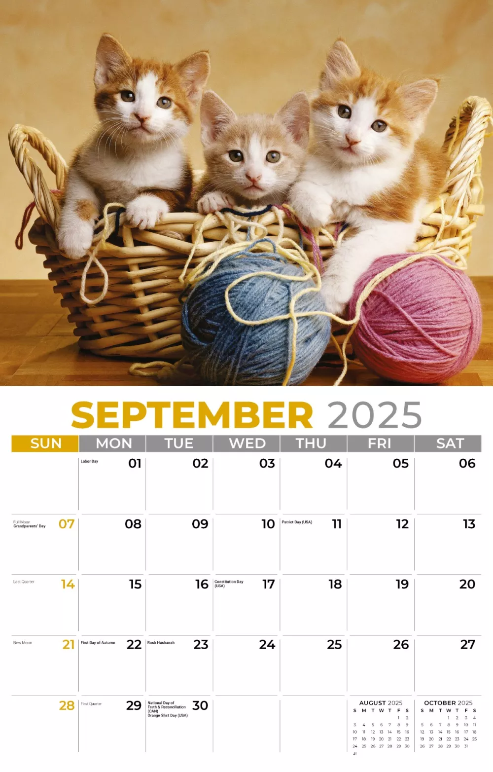 Calendrier mural Galleria 2025 Calendrier Chatons