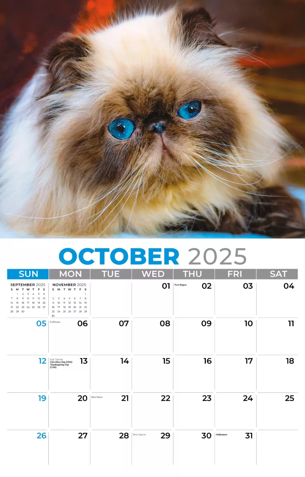 Calendrier mural Galleria 2025 Calendrier Chatons