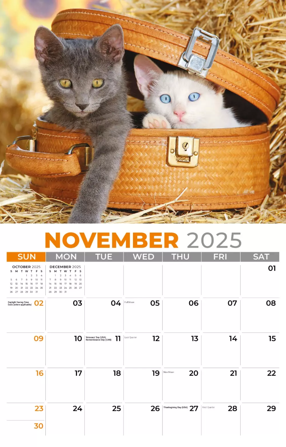 Calendrier mural Galleria 2025 Calendrier Chatons