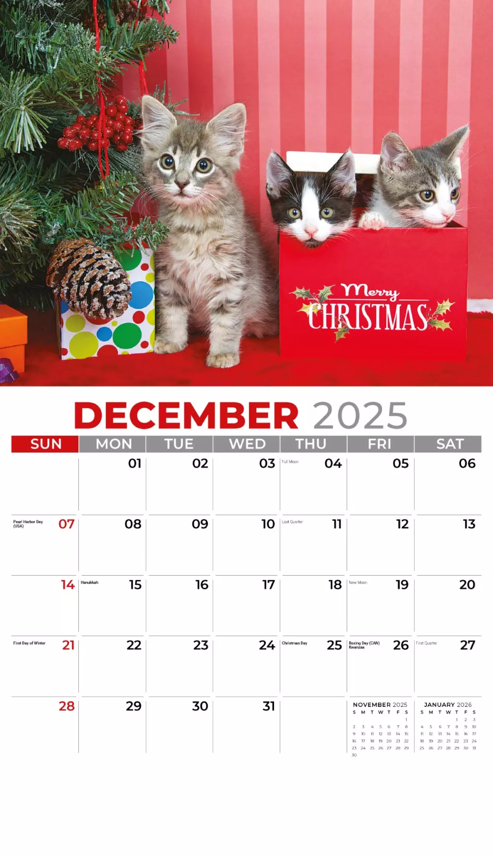 Calendrier mural Galleria 2025 Calendrier Chatons
