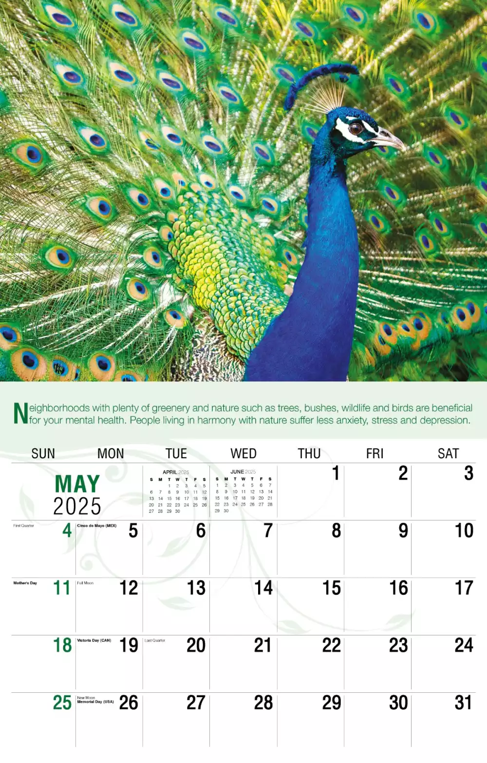 Calendrier mural Galleria 2025 Calendrier Go Green