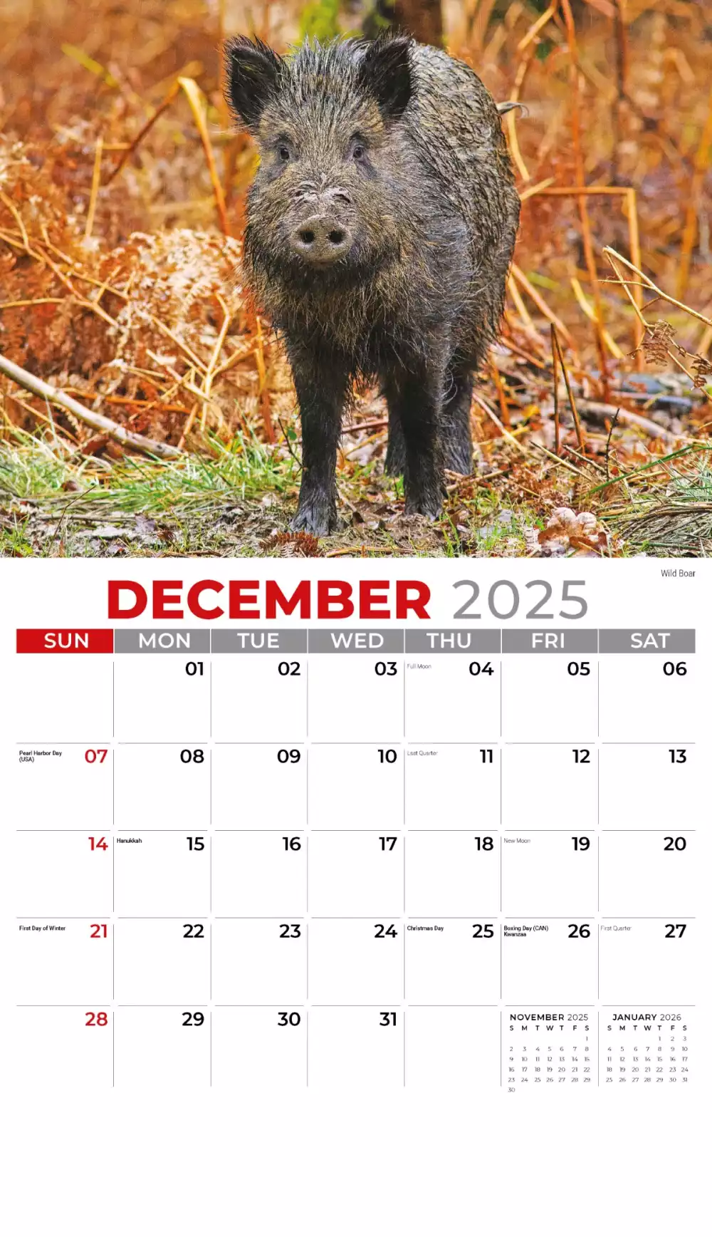 Calendrier mural Galleria 2025 Faune internationale